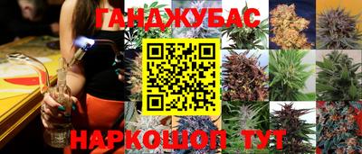 стаф Краснодар
