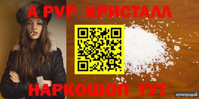 стаф Краснодар