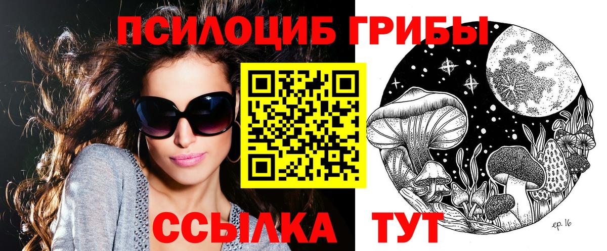 Заводоуковск  Псилоцибиновые грибы мицелий  Вход с VPN  Галлюциногенные грибы Cubensis 