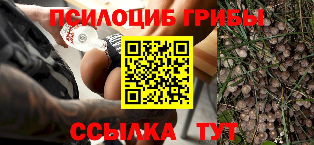 Галлюциногенные грибы GOLDEN TEACHER Заводоуковск