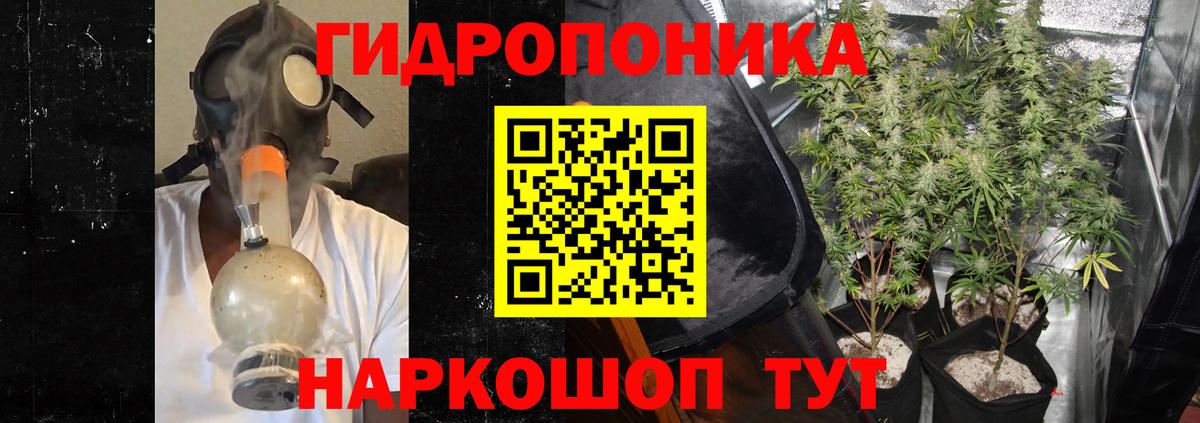 Бошки марихуана SATIVA & INDICA  Марихуана LSD WEED  Марихуана White Widow  Вход с VPN  Канабис индика  Заводоуковск 